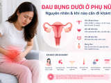 Đau bụng dưới ở phụ nữ: Nguyên nhân, triệu chứng và khi nào cần đi khám?