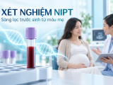 Xét nghiệm NIPT và sự khác biệt với chọc ối